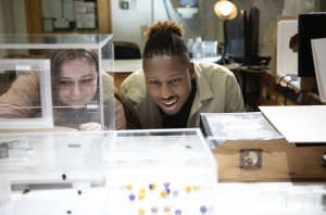 Dr. Sammy Ramsey watches a group of bees in work through a puzzle in a lab.